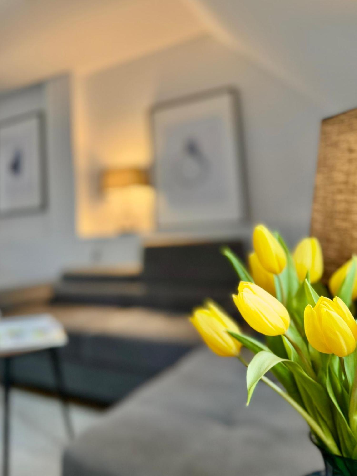 Dwupietrowy Apartament W Centrum Miasta Z Darmowym Miejscem Parkingowym Pod Zlotym Lwem VIII Klodzko Luaran gambar